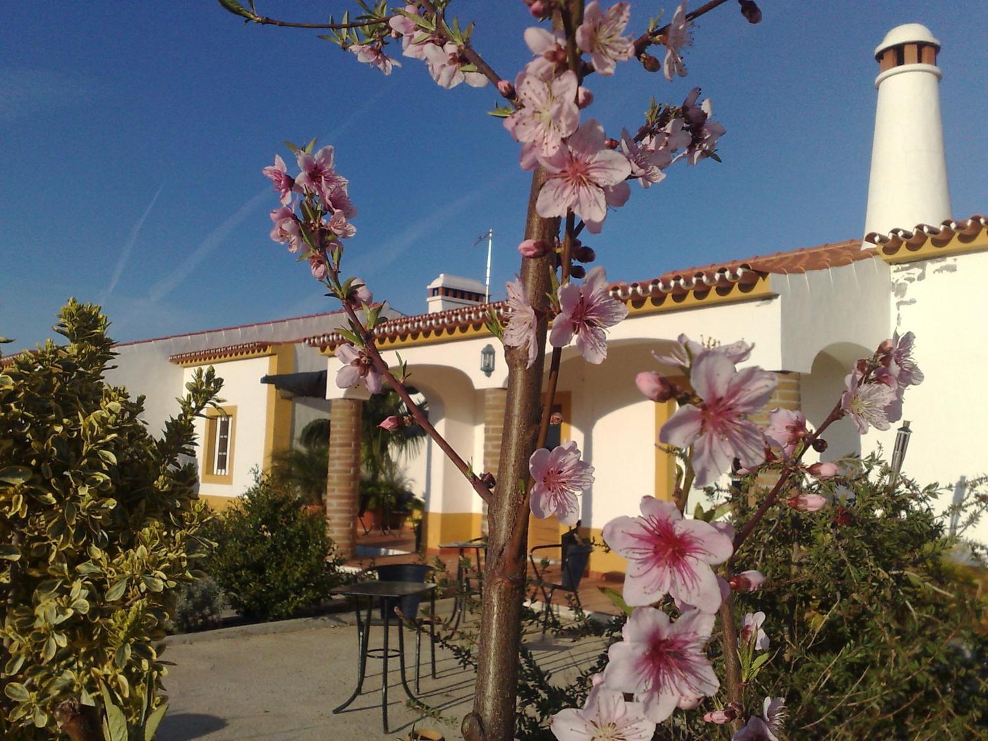 Monte Santa Catarina Bed & Breakfast Monsaraz Exterior photo