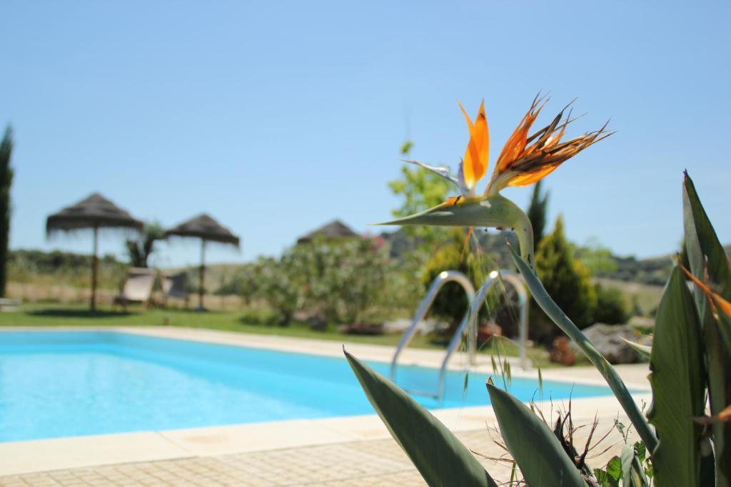 Monte Santa Catarina Bed & Breakfast Monsaraz Exterior photo