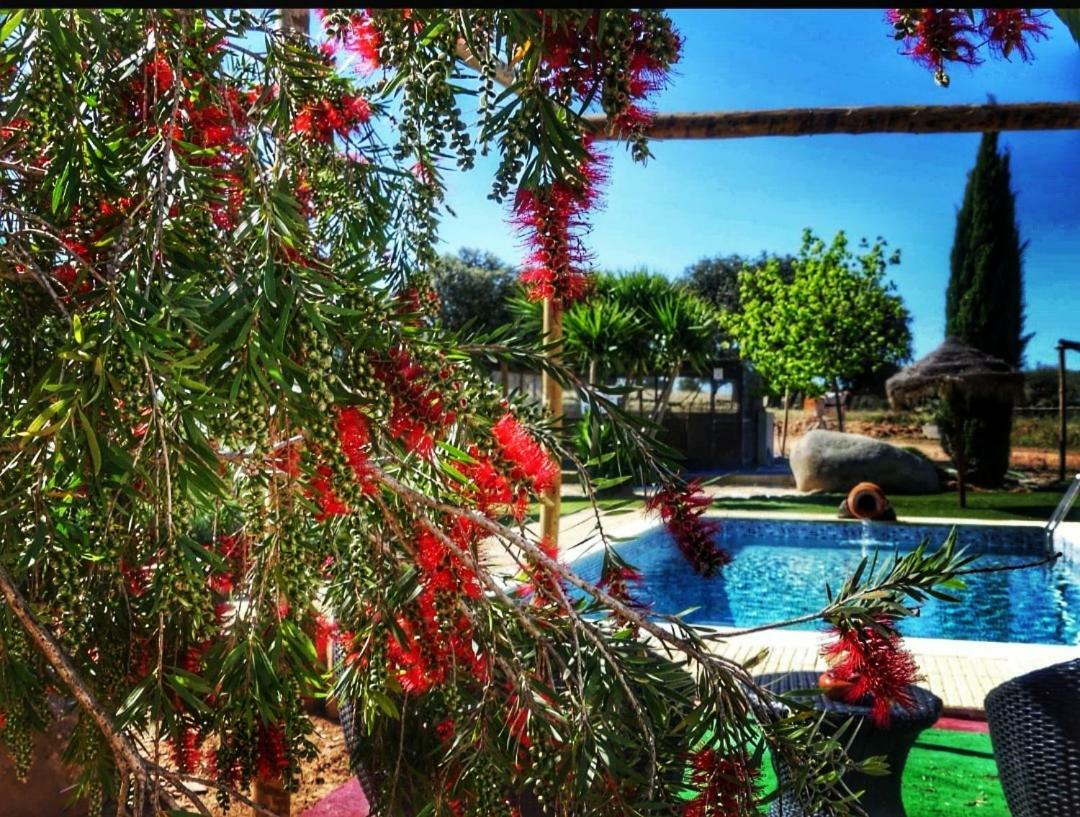 Monte Santa Catarina Bed & Breakfast Monsaraz Exterior photo